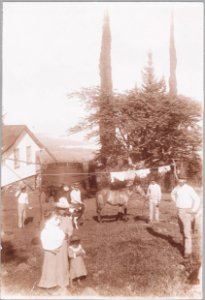 ETH-BIB-Friedlaender-Mauna Loa, Manuel Borea, oberhalb Kailua, Kona-Hs 1309-0035-033