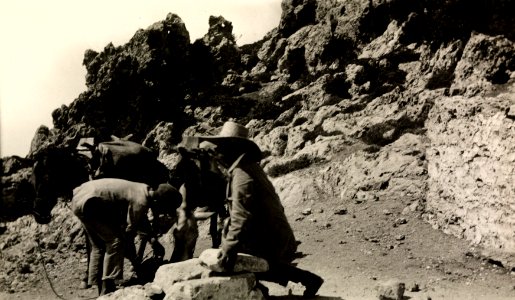 ETH-BIB-Friedlaender-Milos, Elias, 1923-Hs 0625a-0004-085
