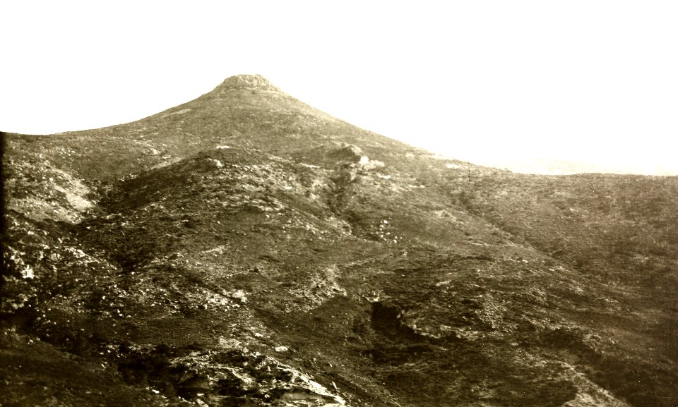 ETH-BIB-Friedlaender-Milos, Katzimbardos von O., 1923-Hs 0625a-0004-059