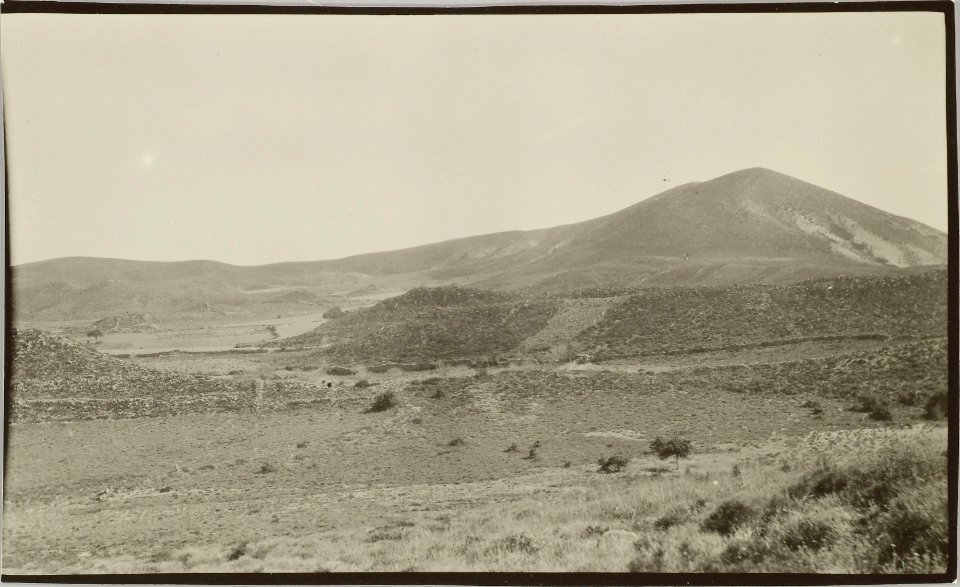 ETH-BIB-Friedlaender-Milos, Phyriplaka von Macherides, 1923-Hs 0625a-0004-104