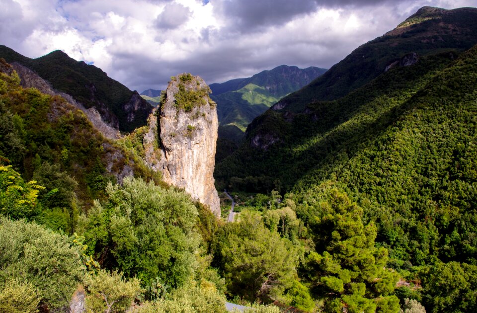 Pollino national park forest trees