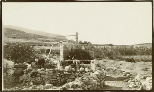 ETH-BIB-Friedlaender-Milos, Pollonia, Ziehbrunnen-Hs 0625a-0004-034
