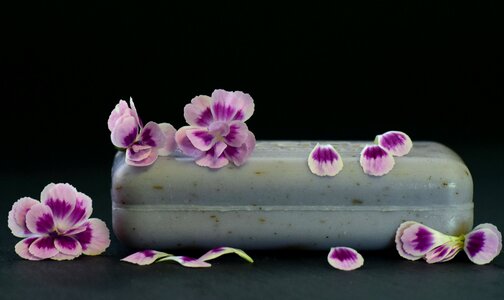 Purple cleaning relaxation