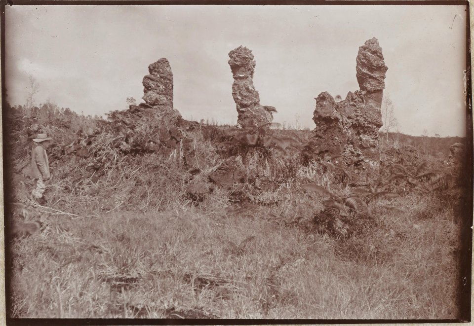 ETH-BIB-Friedlaender-Mit Lava umhüllte Baumstämme bei Kapoho, Puna-Hs 1309-0034-034