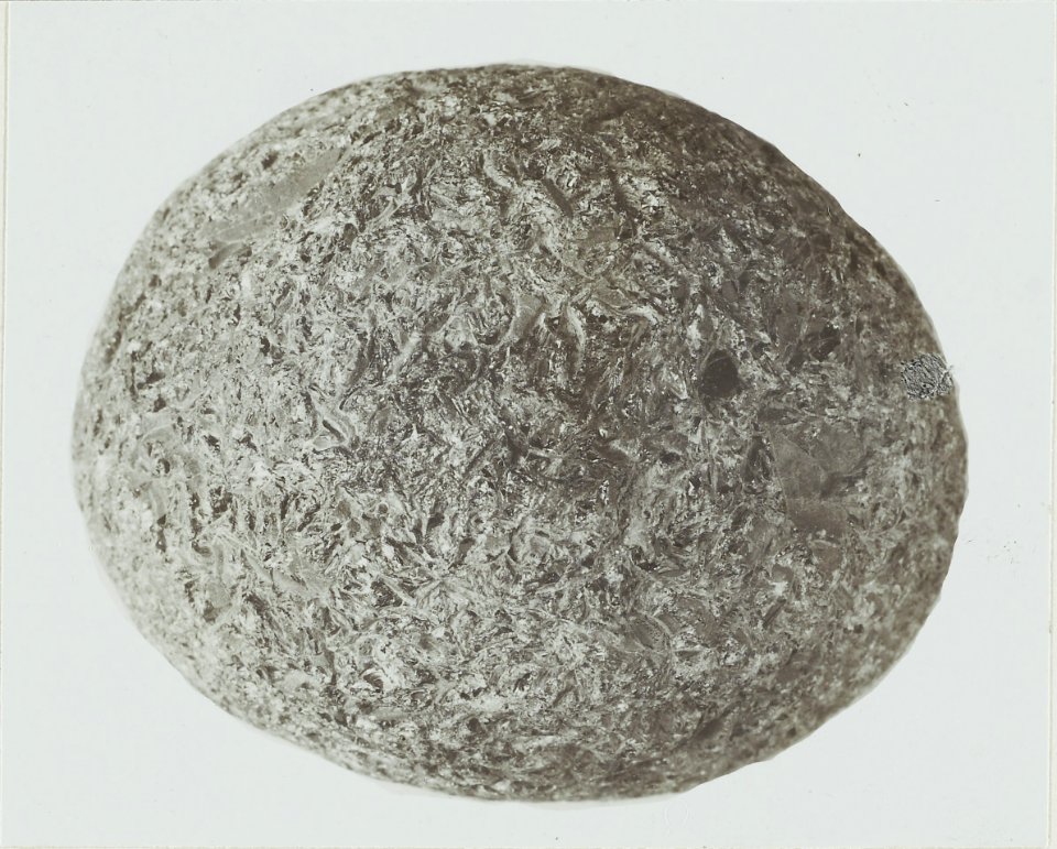 ETH-BIB-Friedlaender-Oberflächenskulptur und Form einer reinen Obsidianbombe aus Mexiko-Hs 0625a-0002-042