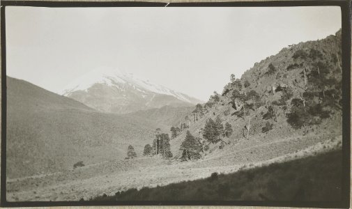 ETH-BIB-Friedlaender-Orizaba, Fuss des grossen Lavastroms-Hs 1309-0038-018