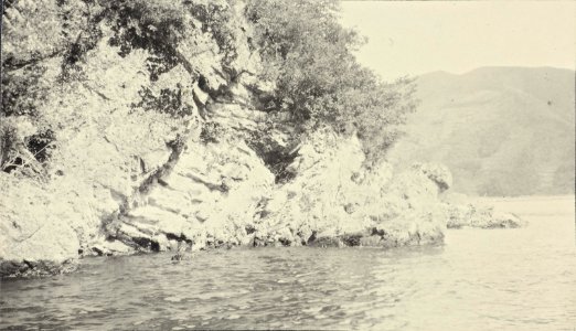 ETH-BIB-Friedlaender-Ost-Seite des Shoji Sees (Fuji). Mesozoische Schichten-Ans 05420-125-AL-FL