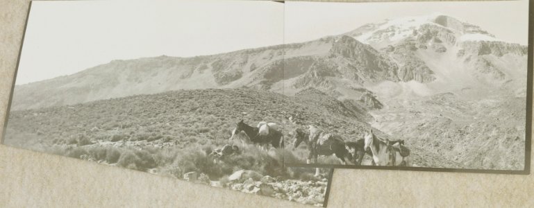 ETH-BIB-Friedlaender-Orizaba, Orizaba, oberhalb Barranca de la Mina-Hs 1309-0038-032