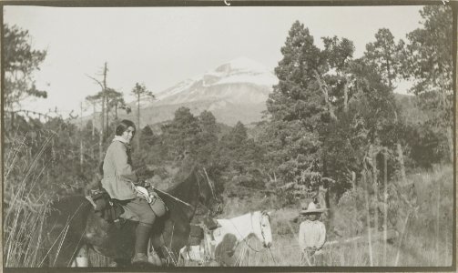 ETH-BIB-Friedlaender-Orizaba, Südseite Barranca de la Mina-Hs 1309-0038-025