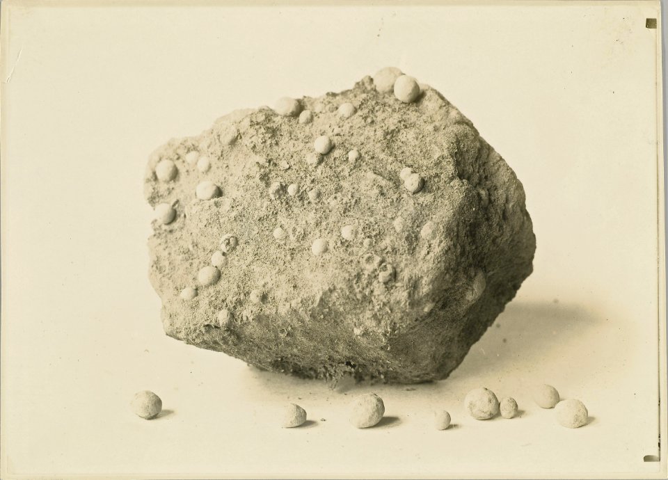 ETH-BIB-Friedlaender-Pisolithe, Kilanea-Hs 0625a-0002-035