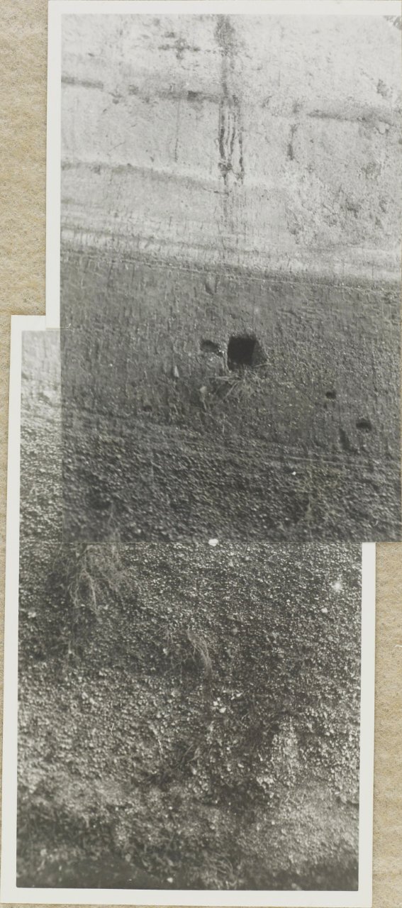 ETH-BIB-Friedlaender-Pompei, Villa dei misteri, Sand- und Lapillischichten-Hs 1309-0004-244