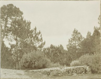 ETH-BIB-Friedlaender-Popocatepetl-Hs 1309-0037-002