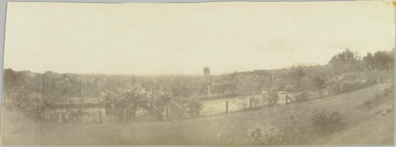 ETH-BIB-Friedlaender-Samoa, Blick von Tapalapao 1907-Hs 0625a-0003-161