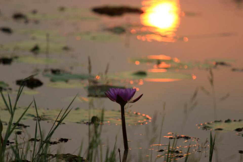Water sun summer