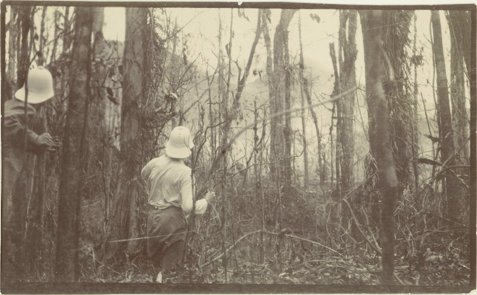 ETH-BIB-Friedlaender-Samoa, Blick auf den Krater 9.9.1905-Hs 0625a-0003-055