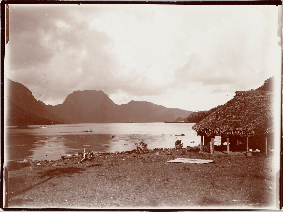 ETH-BIB-Friedlaender-Samoa, Pioa auf Tutuila von W.-Hs 0625a-0003-167