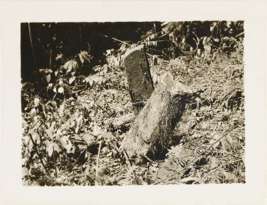 ETH-BIB-Friedlaender-Samoa, Upolu, Fale o le Fee-Hs 0625a-0003-141