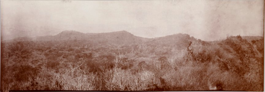 ETH-BIB-Friedlaender-Samoa, West Sawaii vom Mauga afi, 1907-Hs 0625a-0003-078