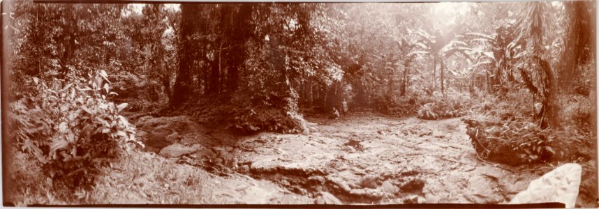 ETH-BIB-Friedlaender-Samoa, Sawaii, Sili Alia 1907-Hs 0625a-0003-106