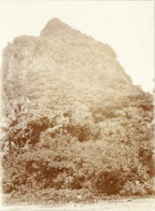 ETH-BIB-Friedlaender-Samoa, Upolu 1907-Hs 0625a-0003-143