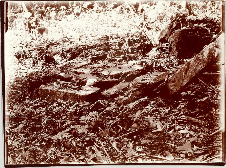 ETH-BIB-Friedlaender-Samoa, Upolu, Fale o le Fee-Hs 0625a-0003-142