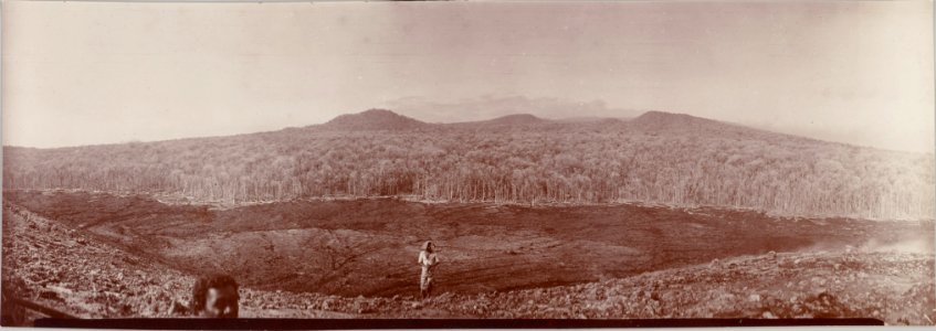 ETH-BIB-Friedlaender-Samoa, Vorhügel S des Matavanu, 1907-Hs 0625a-0003-077