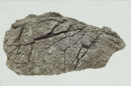 ETH-BIB-Friedlaender-Schweissnahtbombe, mit Kontraktionsrissen als Aufschlagspuren, Kunksköpfe, Eifel-Hs 0625a-0002-077