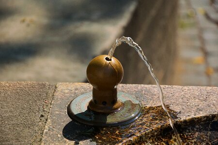 Gargoyle water jet close up photo