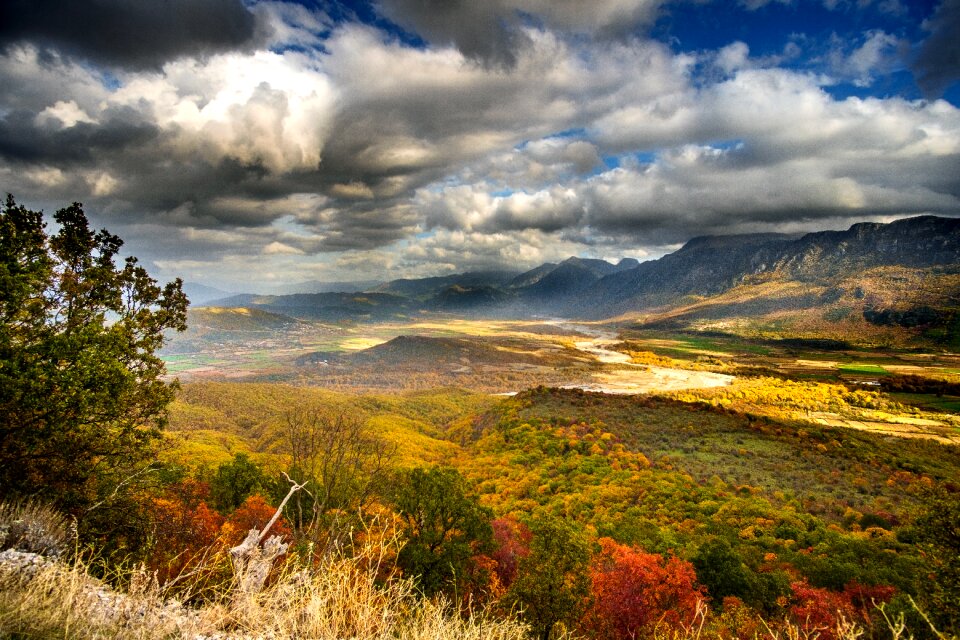 Autumn sky forest