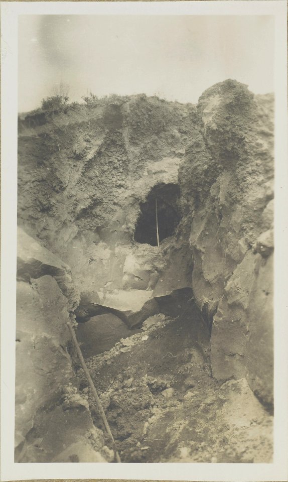 ETH-BIB-Friedlaender-Steinbruch Torre del Greco - Baumabruck in der Lava-Hs 1309-0001-268