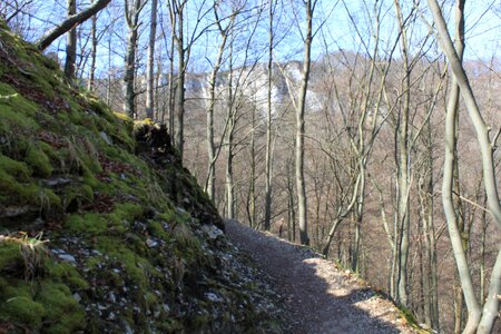Mountain germany path