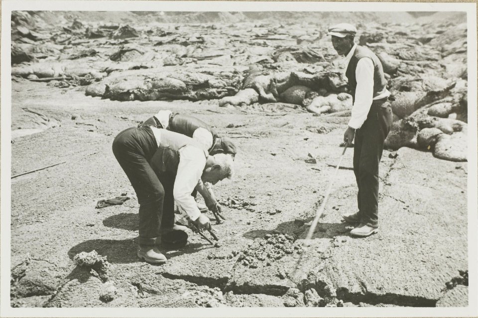 ETH-BIB-Friedlaender-Vesuvkrater, Ostrand der Lava-Hs 1309-0005-030