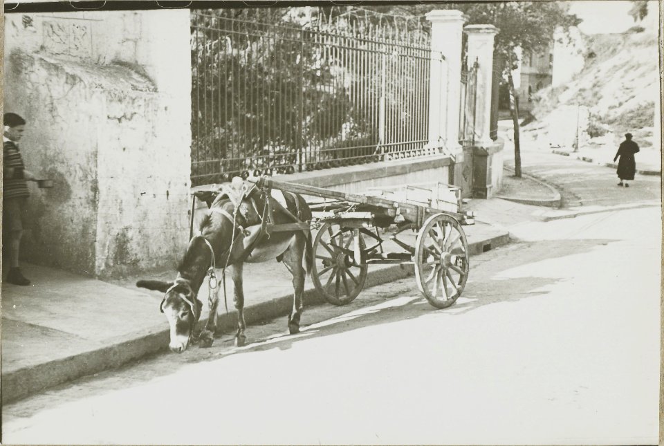 ETH-BIB-Friedlaender-Via Luigia Sanfelice-Hs 1309-0014-040
