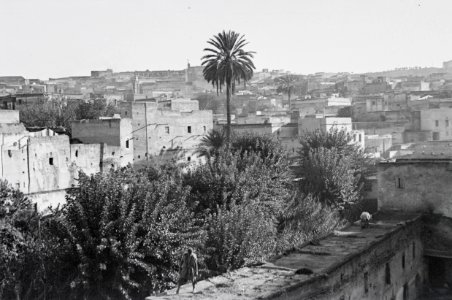 ETH-BIB-Fès-Nordafrikaflug 1932-LBS MH02-13-0323