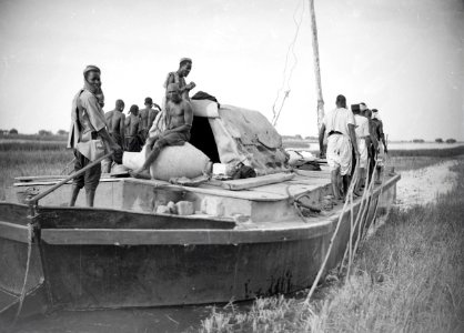 ETH-BIB-Gao, mit langen Stangen werden die Boote auf dem Niger durch das Schilfdickicht mühsam geschleppt-Tschadseeflug 1930-31-LBS MH02-08-0505