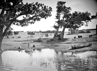 ETH-BIB-Gao- Uferlandschaft am Niger-Tschadseeflug 1930-31-LBS MH02-08-0493