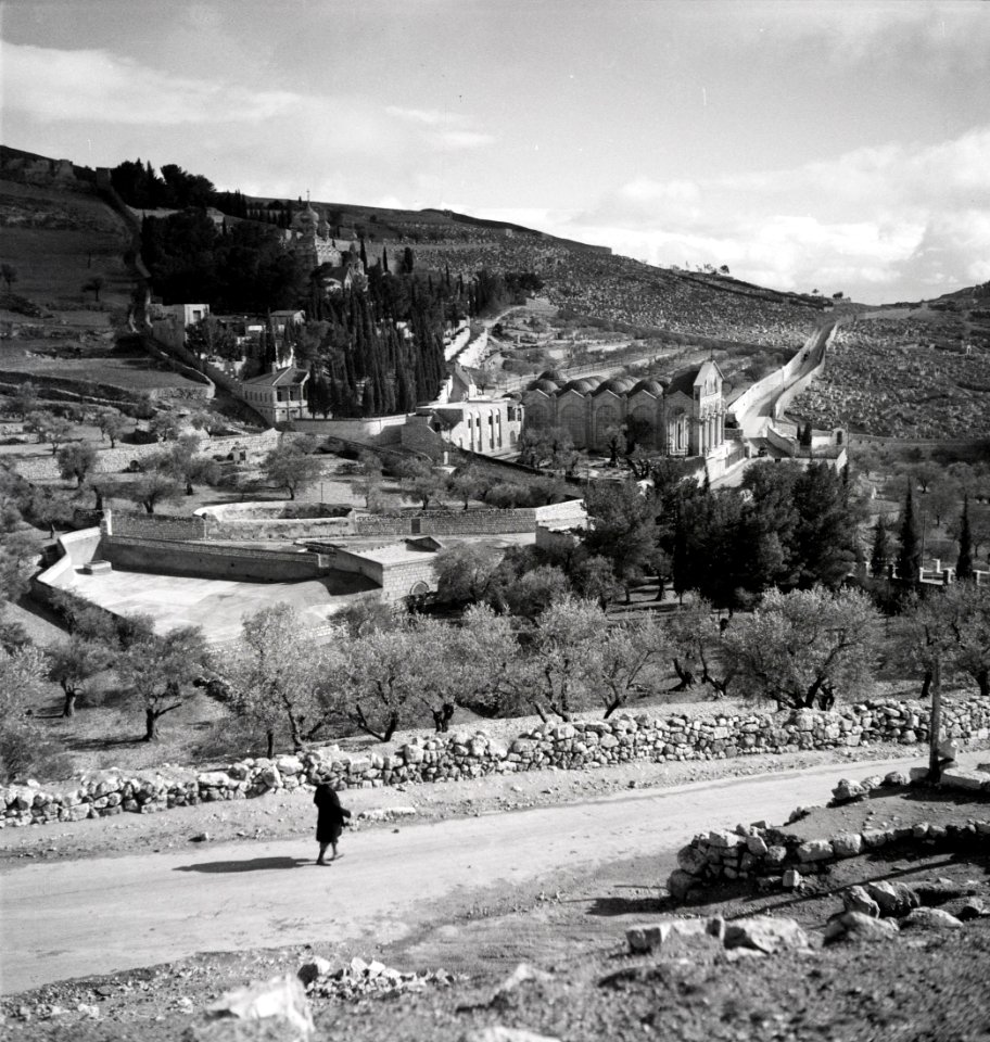 ETH-BIB-Garten Gatsehmane -Gethsemane-, Jerusalem-Abessinienflug 1934-LBS MH02-22-0036