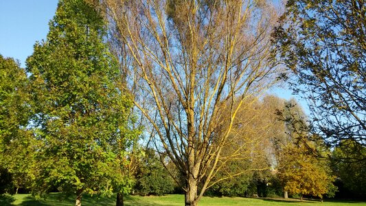 Landscape autumn october photo