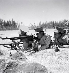 ETH-BIB-Gefechtsübung der abessinischen Infanterie im Eukalyptuswald-Abessinienflug 1934-LBS MH02-22-0612