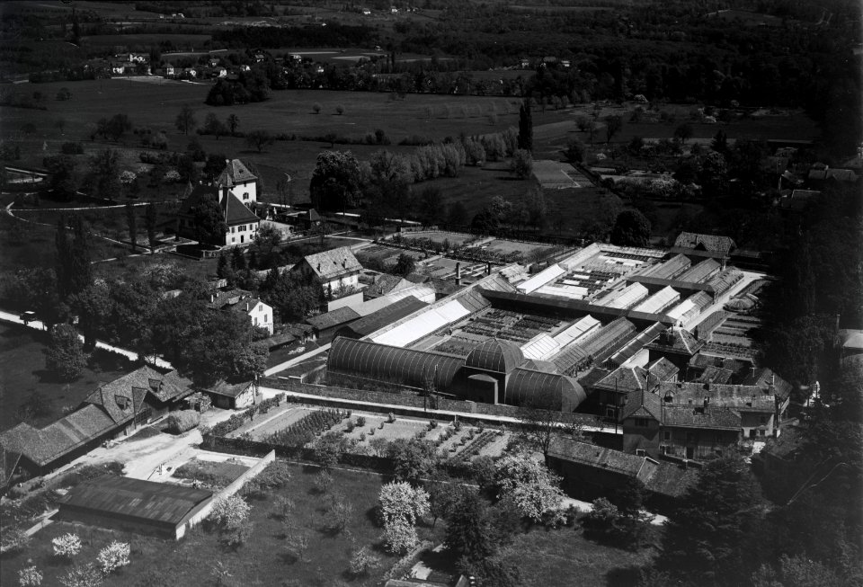 ETH-BIB-Genf-Pregny, Orangerie der Villa Rothschild-Inlandflüge-LBS MH03-0311