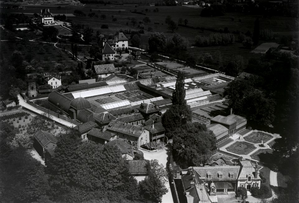 ETH-BIB-Genf-Pregny, Orangerie der Villa Rothschild-Inlandflüge-LBS MH03-0310