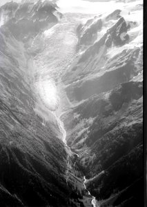 ETH-BIB-Glacier du Trient, Gletscherzunge v. N. W. aus 3000 m-Inlandflüge-LBS MH01-005234