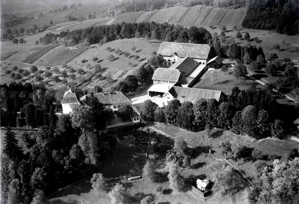 ETH-BIB-Goldenberg, Schloss aus 100 m-Inlandflüge-LBS MH01-006377