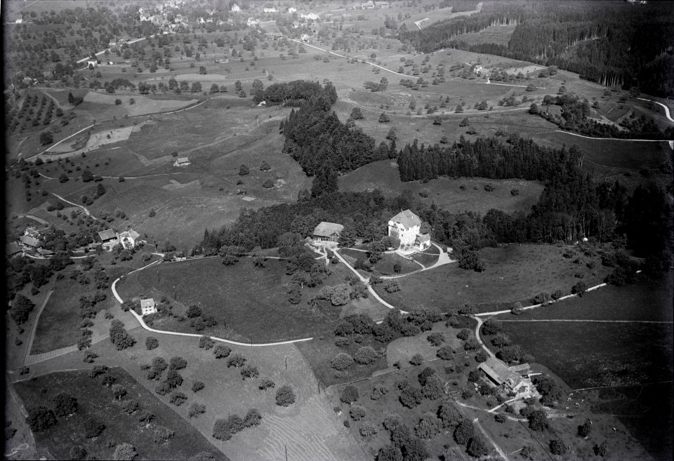 ETH-BIB-Gossau (SG), Schloss Oberberg-Inlandflüge-LBS MH01-004632