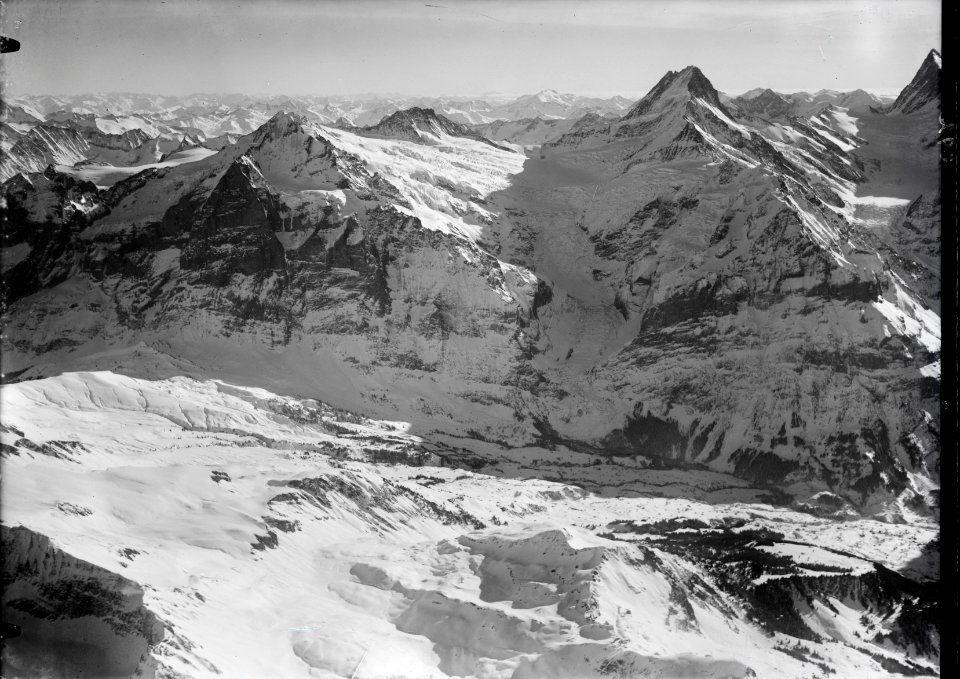 ETH-BIB-Grosse Scheidegg, Wetterhorn, Schreckhorn, Finsteraarhorn aus 4000 m-Inlandflüge-LBS MH01-000292