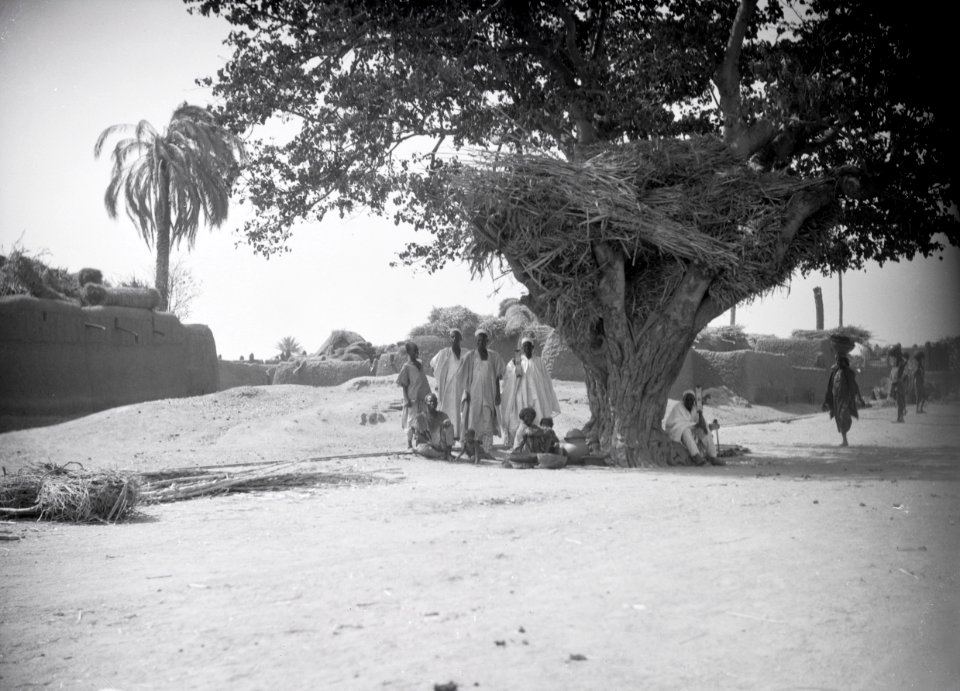 ETH-BIB-Gruppe Männer unter einem grossen Baum-Tschadseeflug 1930-31-LBS MH02-08-0759