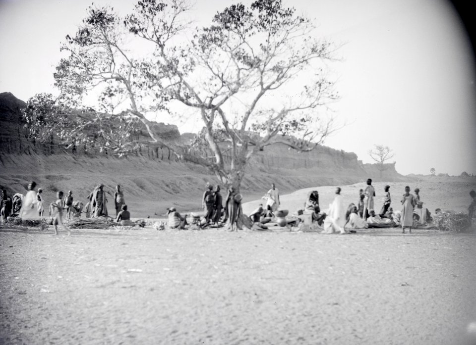 ETH-BIB-Gruppe Menschen unter einem Baum bei Kano-Tschadseeflug 1930-31-LBS MH02-08-0616