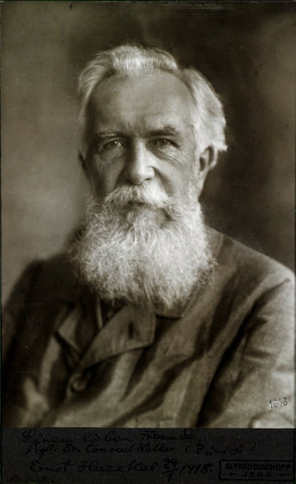 ETH-BIB-Haeckel, Ernst (1834-1919)-Portrait-Portr 02762-RE