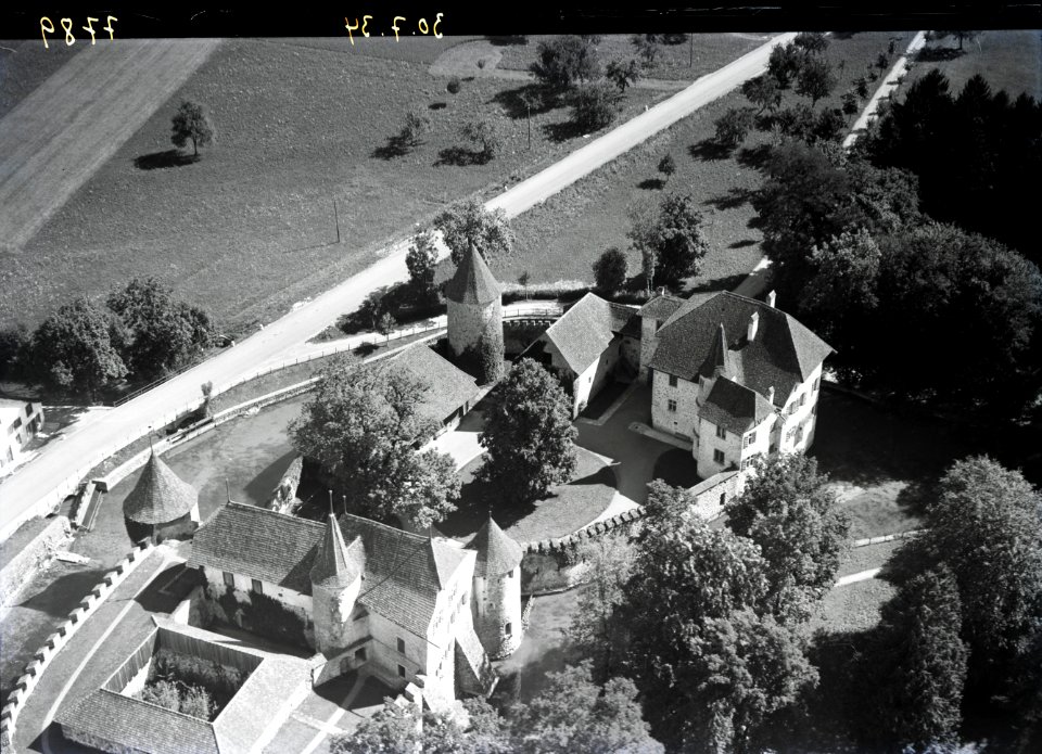 ETH-BIB-Hallwil, Schloss Hallwil aus 100 m-Inlandflüge-LBS MH01-007789