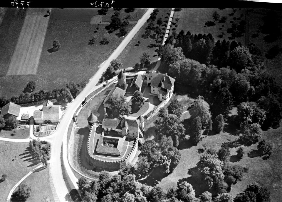 ETH-BIB-Hallwil, Schloss Hallwil aus 100 m-Inlandflüge-LBS MH01-007790
